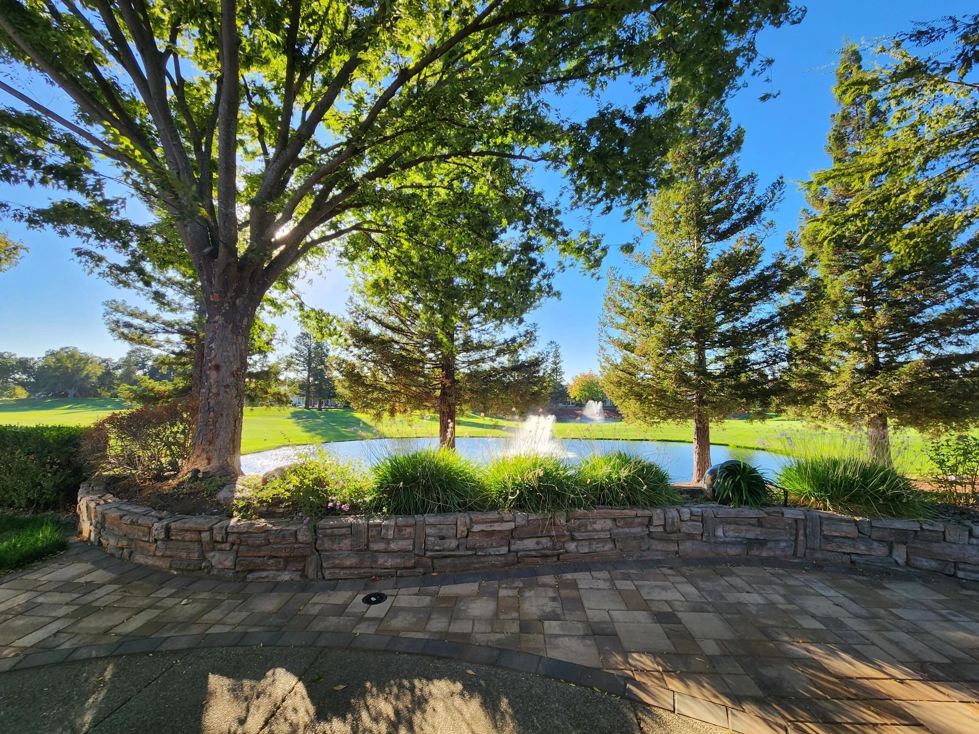 Front yard remodel and entry hardscape photo 1