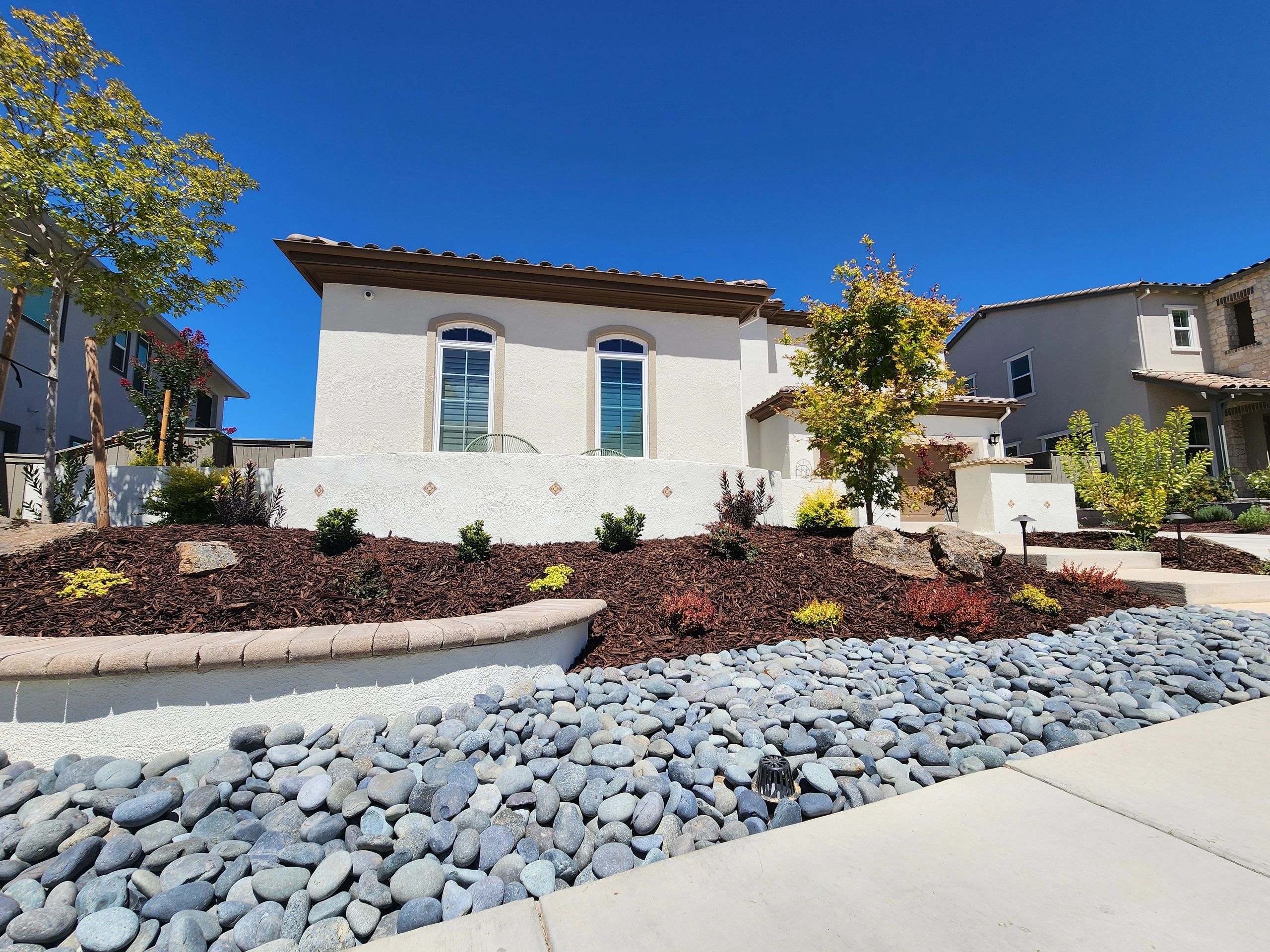 Poolside turf and backyard transformation photo 3